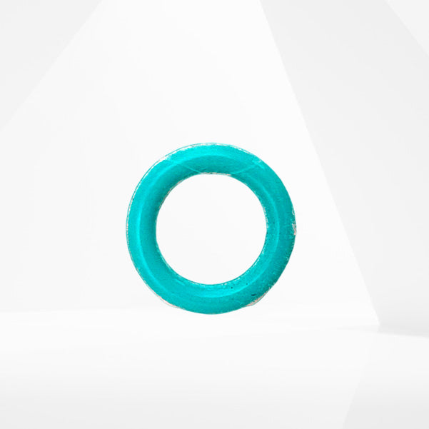 LEST steam cleaner sealing ring